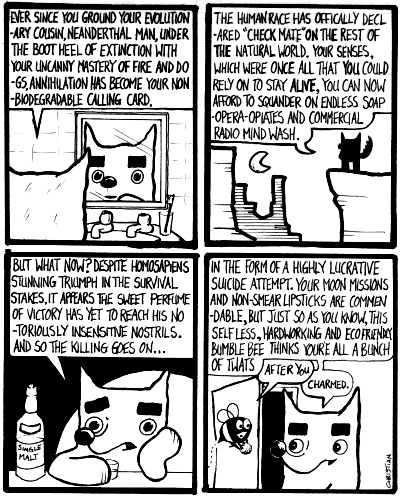 slack fox cartoon 13